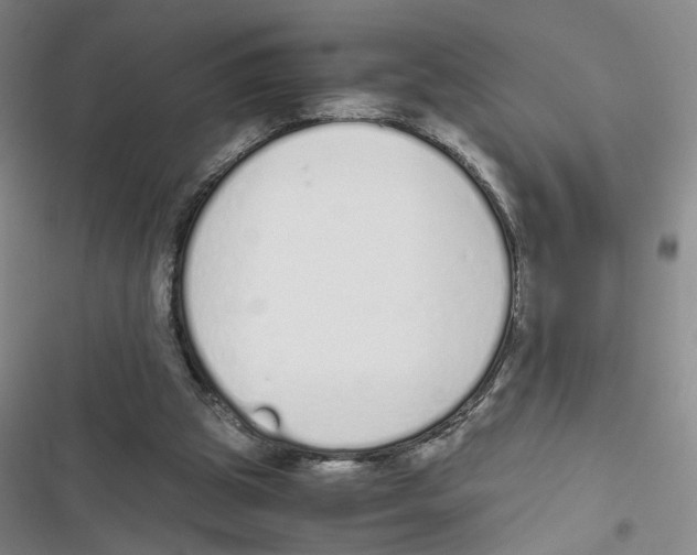 X0000116820153201001151212