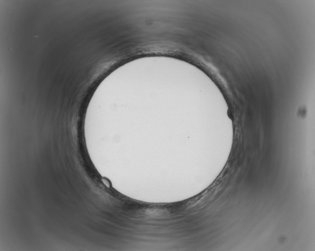 X0000116820154201001151212