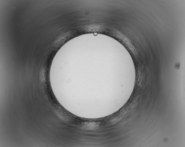 X0000116820161201001151212