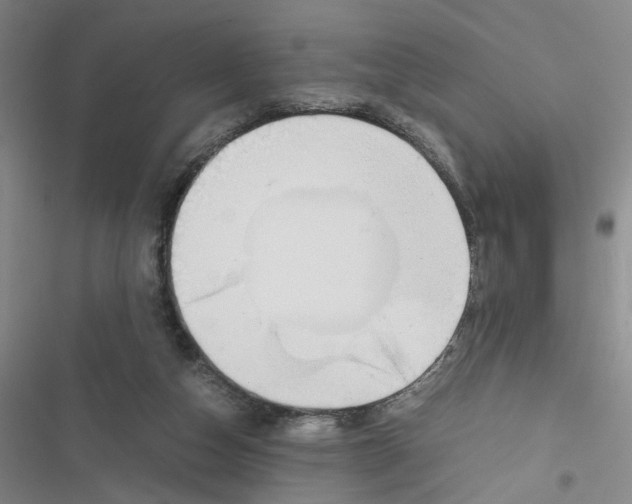 X0000116820162201001151212