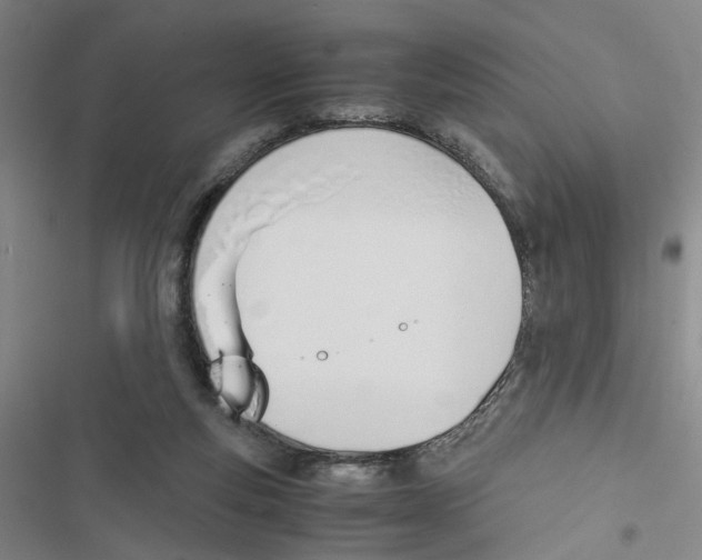 X0000116820163201001151212