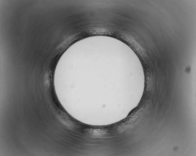 X0000116820165201001151212