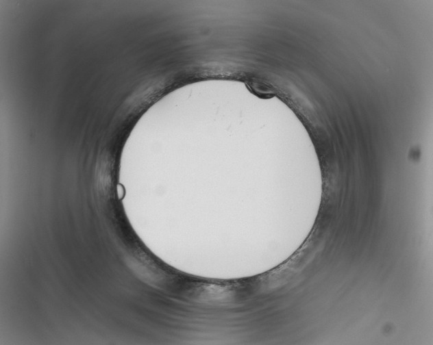 X0000116820166201001151212