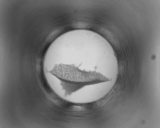 X0000116820167201001151212