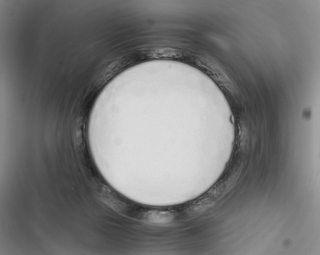 X0000116820169201001151212