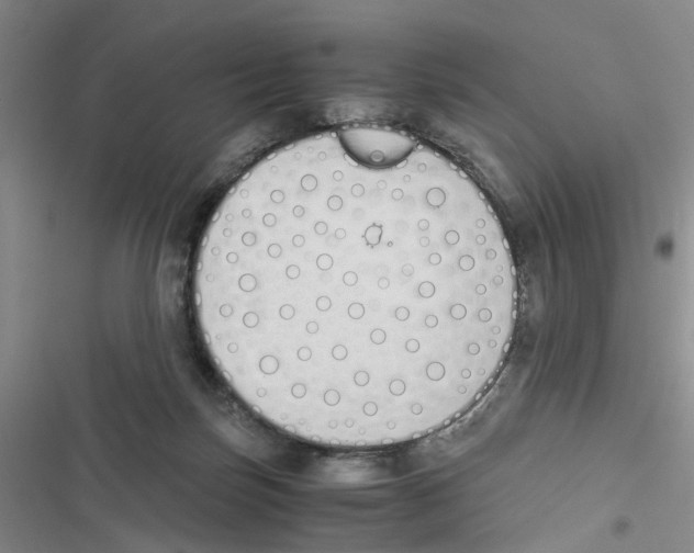 X0000116820171201001151213