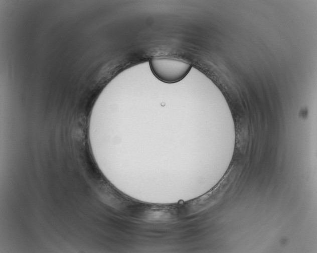 X0000116820175201001151213