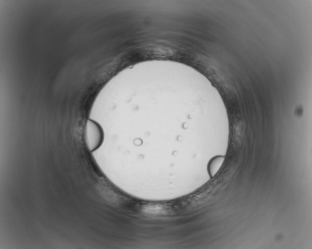 X0000116820177201001151213