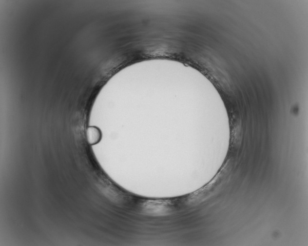 X0000116820179201001151213