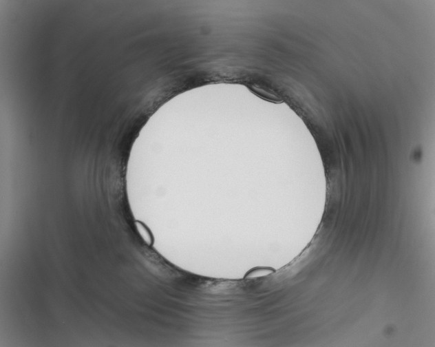 X0000116820186201001151213