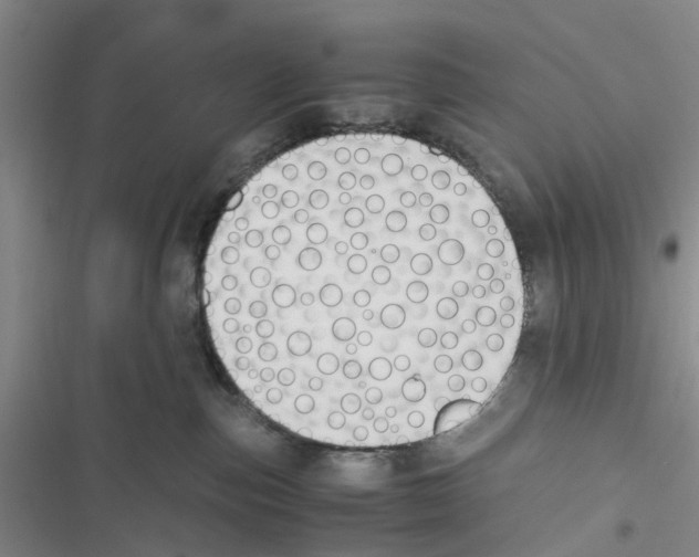 X0000116820187201001151213