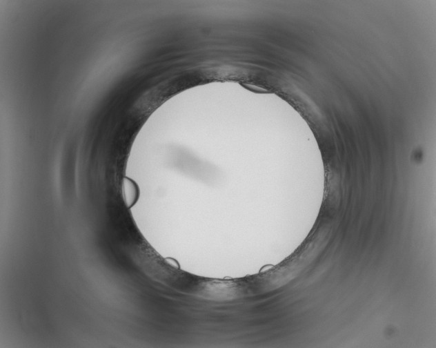 X0000116820189201001151213