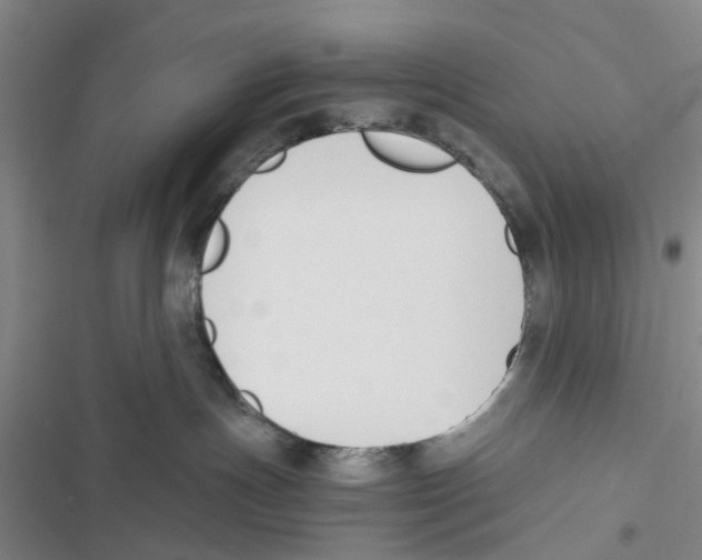 X0000116820191201001151213