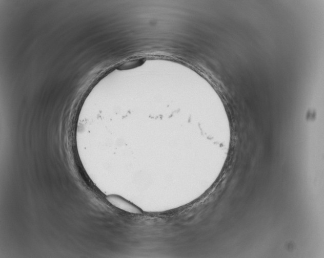 X0000116820193201001151212