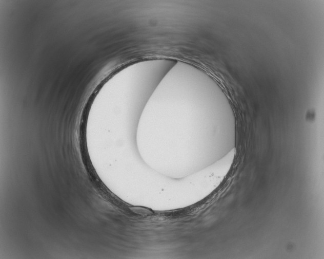 X0000116820195201001151212