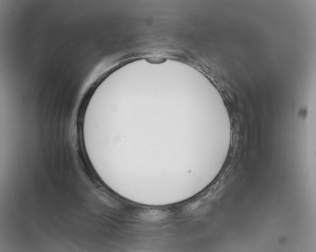 X0000116820198201001151212