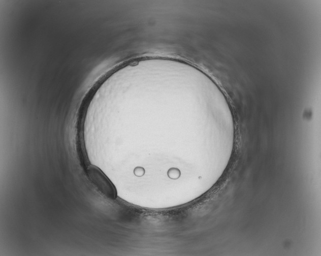 X0000116820199201001151212