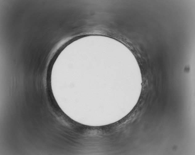 X0000116820200201001151212