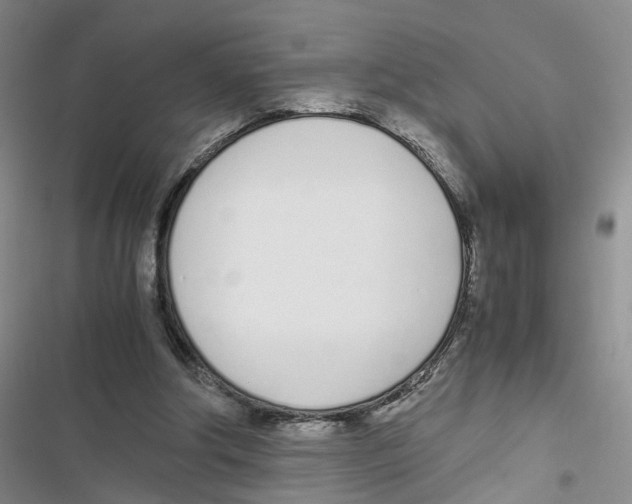 X0000116820202201001151212