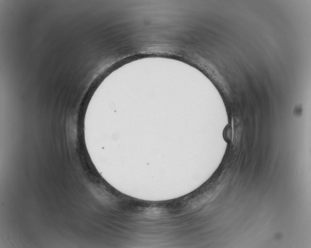 X0000116820204201001151212