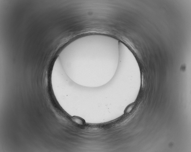 X0000116820205201001151212