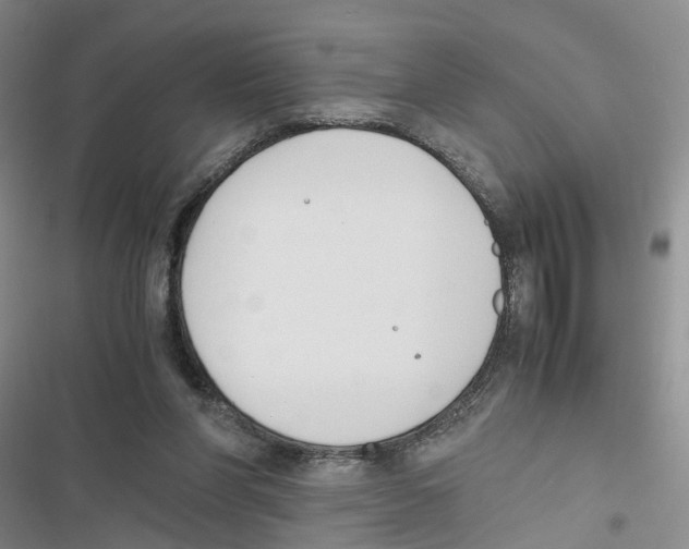 X0000116820206201001151212