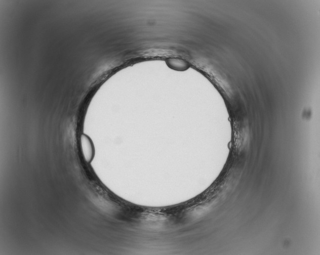 X0000116820207201001151212