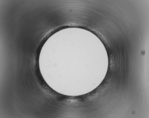 X0000116820208201001151212