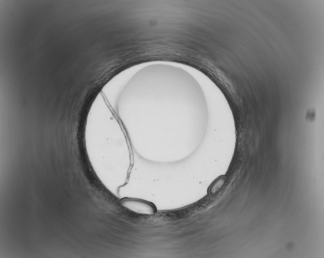 X0000116820209201001151212