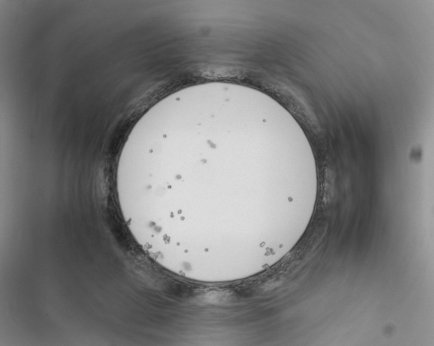 X0000116820210201001151212