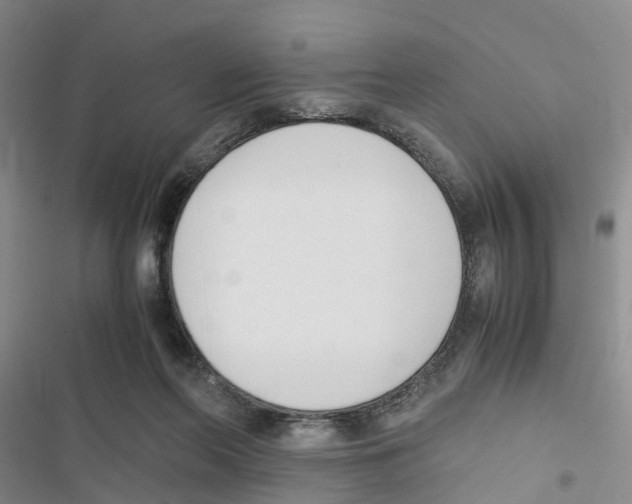 X0000116820214201001151212