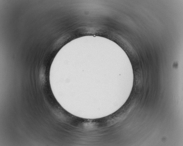 X0000116820216201001151212