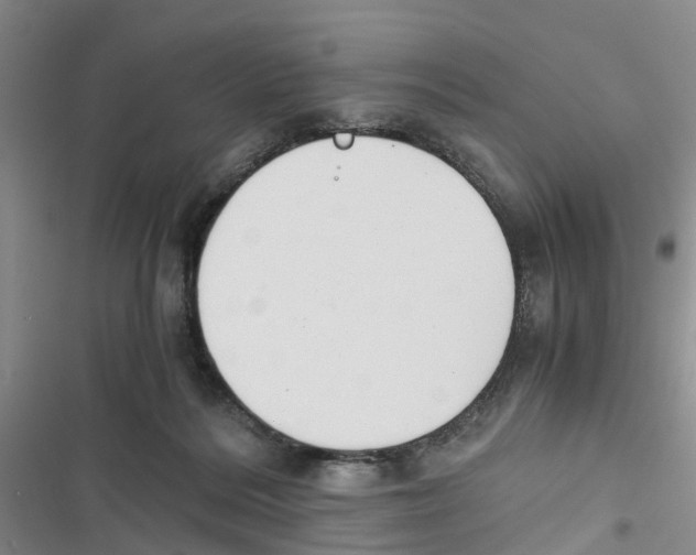 X0000116820220201001151212