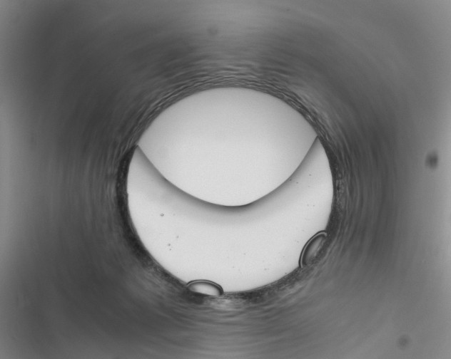 X0000116820221201001151212