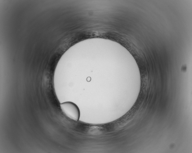 X0000116820222201001151212