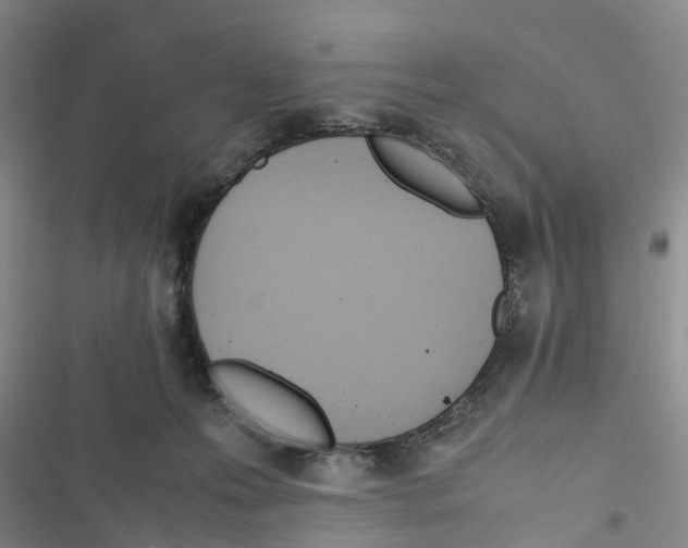 X0000116820223201001151212