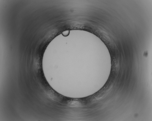 X0000116820224201001151212