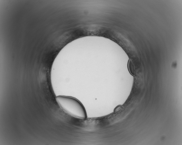 X0000116820225201001151212