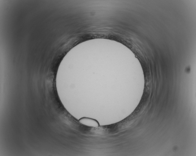 X0000116820231201001151211