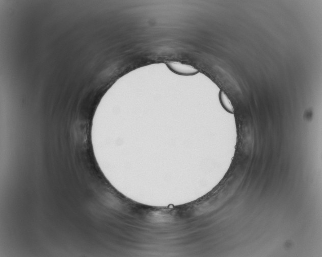 X0000116820232201001151211