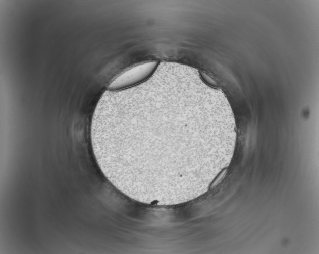 X0000116820233201001151211