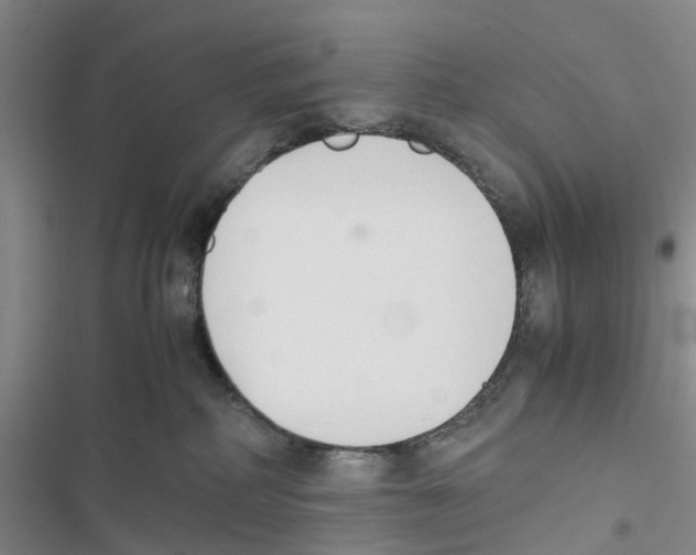 X0000116820234201001151211