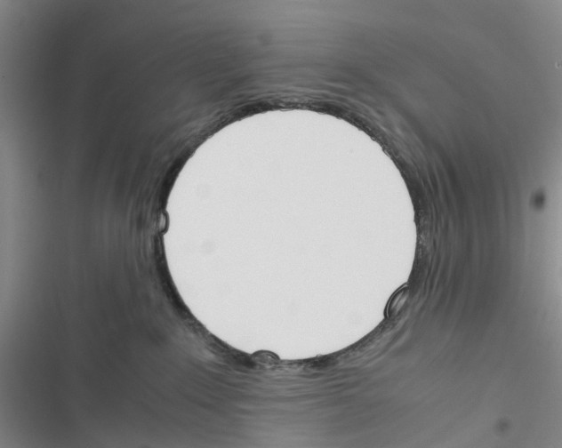 X0000116820235201001151211