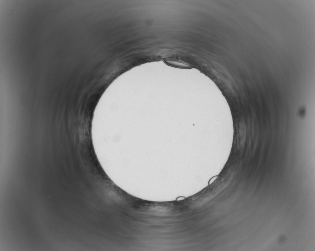 X0000116820236201001151211