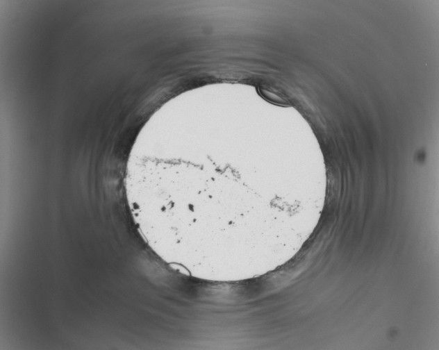 X0000116820237201001151211