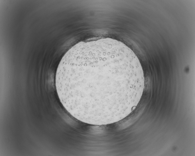 X0000116820238201001151211