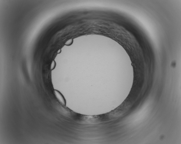 X0000116820239201001151211