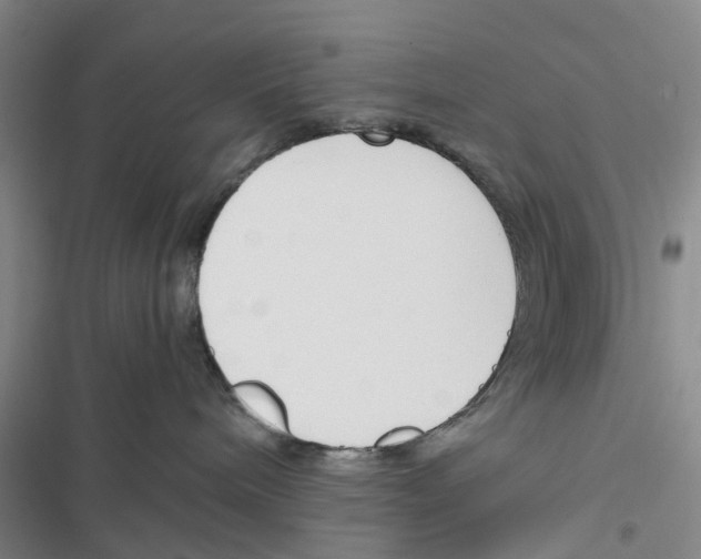 X0000116820240201001151211