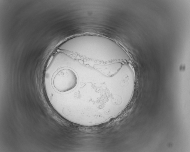 X0000116820241201001151211