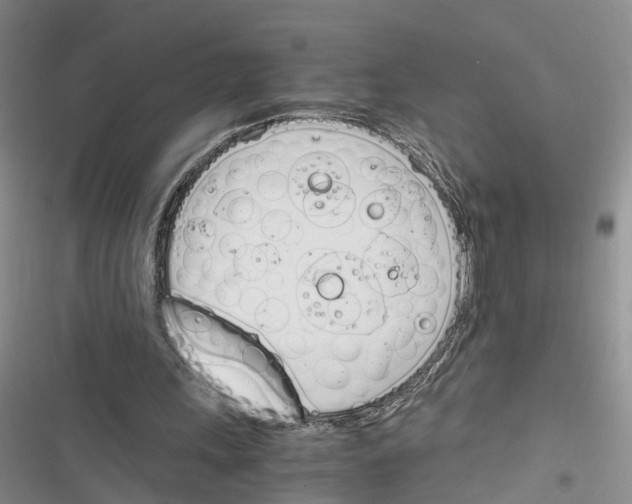 X0000116820243201001151211